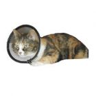Company Of Animals Smart Collar - Cat