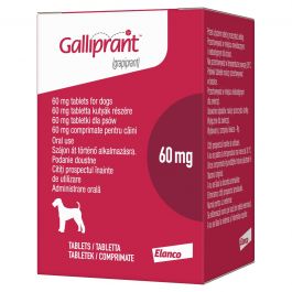 Galliprant 60mg Tablet for Dogs - Pack 