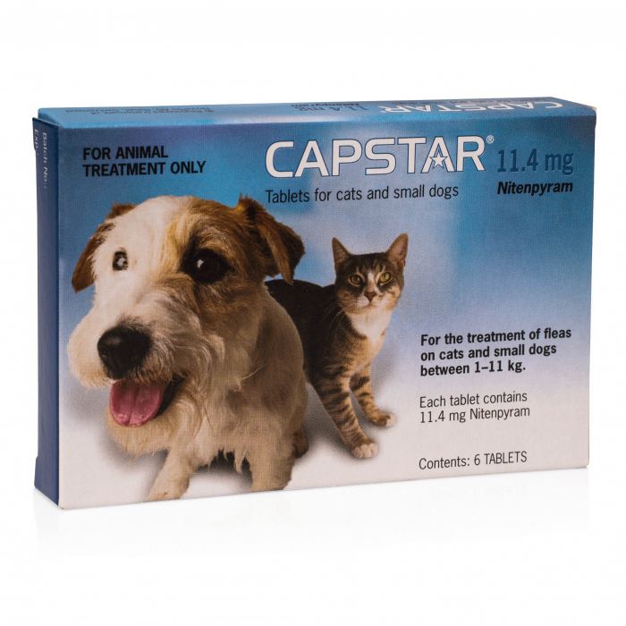 capstar tablets for cats