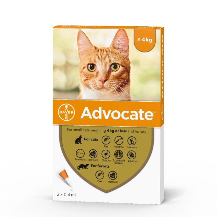 Advocate for Small Cats (up to 4kg 