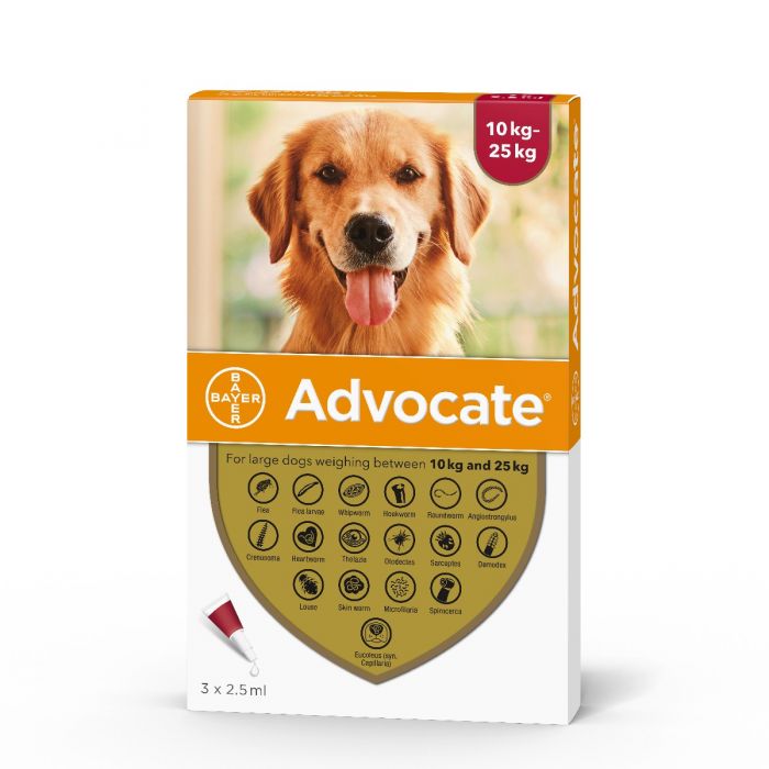 Advocate for Large Dogs (10-25kg 