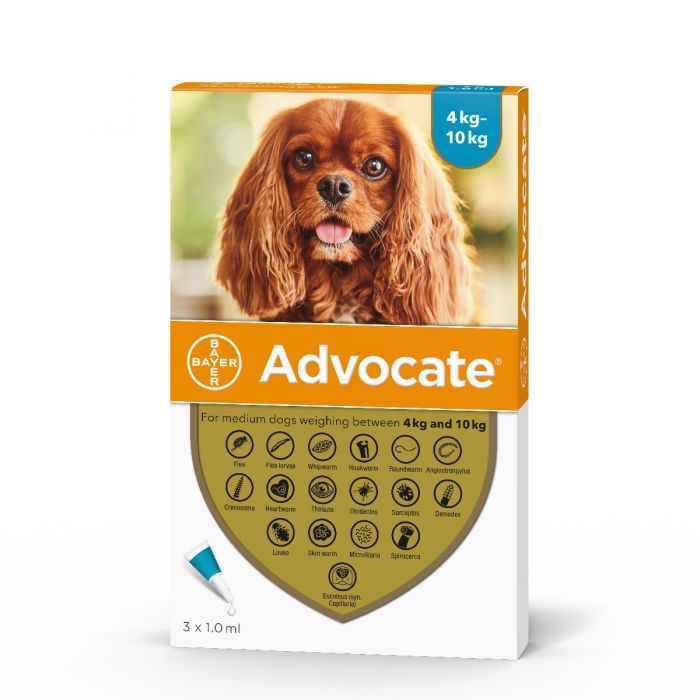 Advocate for Medium Dogs (4-10kg 