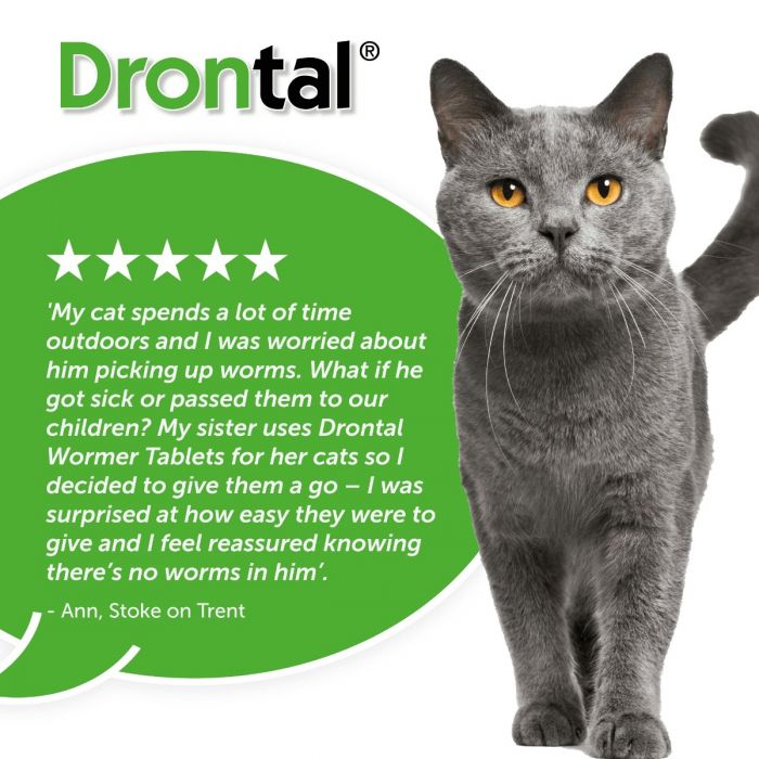 How Often Drontal Drontal Worming Oral Suspension For Puppies 100ml