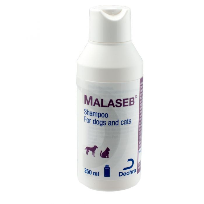Malaseb Shampoo for Dogs \u0026 Cats 250ml 