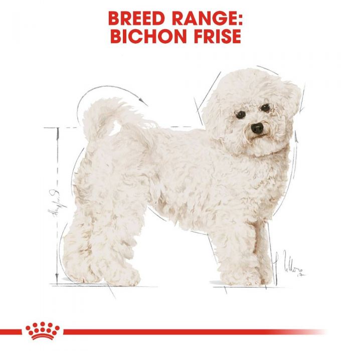 Royal canin hot sale for bichon frise