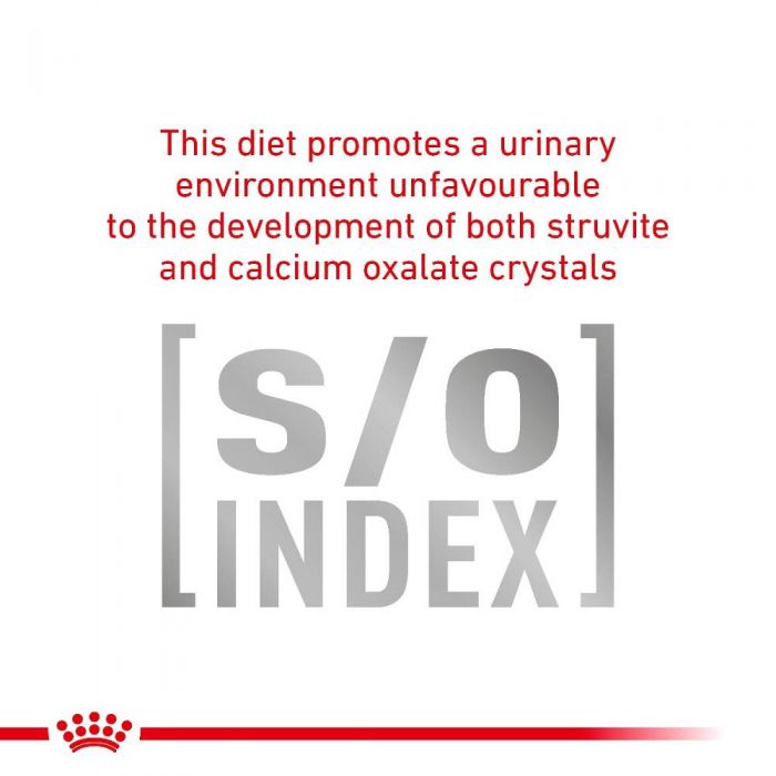 Royal canin cat food for best sale liver disease