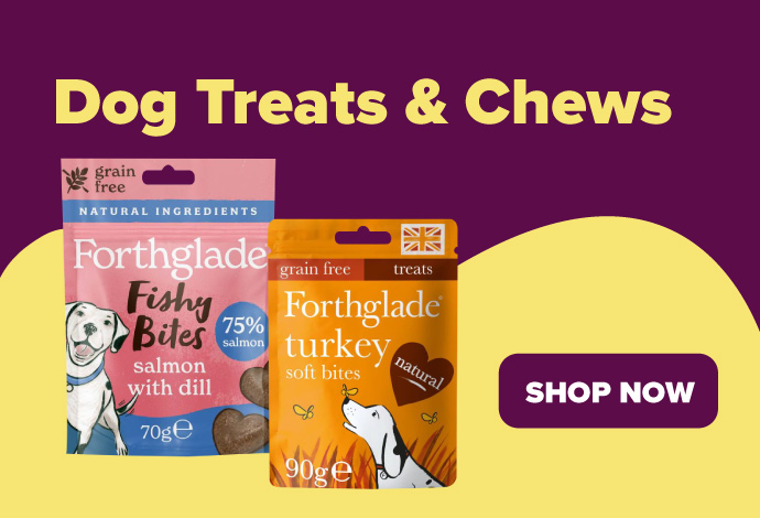 Treats and chews for senior dogs at Animed Direct