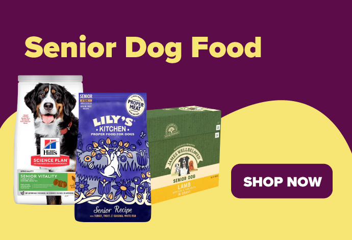 Senior Dog Food at Animed Direct