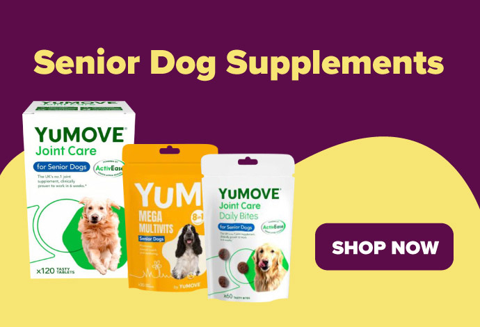 Senior Dog Supplements at Animed Direct