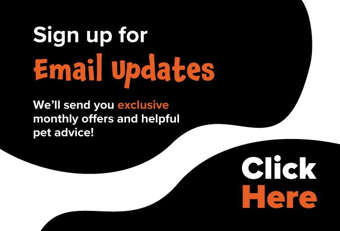 sign up for email updates