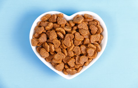Healthy Pet Diet – The key ingredients to look out for