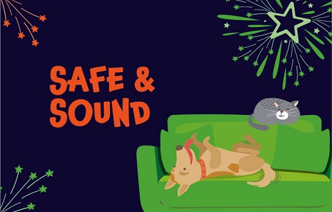 How to keep your cat & dog calm during fireworks