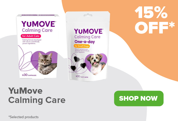 YuMOVE Offers Oct 24 Dtop Secondary