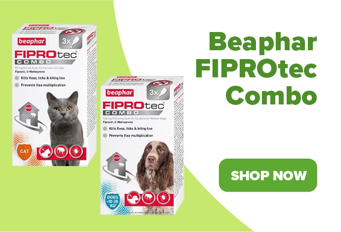Beaphar Fiprotec Combo Flea and Tick Treatment for Cats and Dogs from Animed Direct