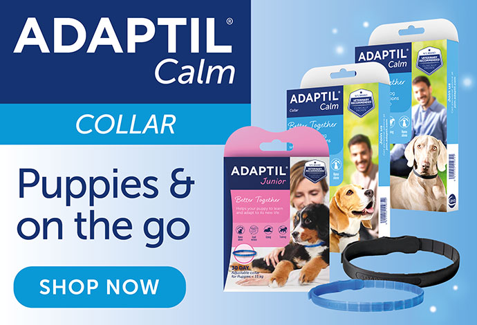 Adaptil Calm On-the-go Collar