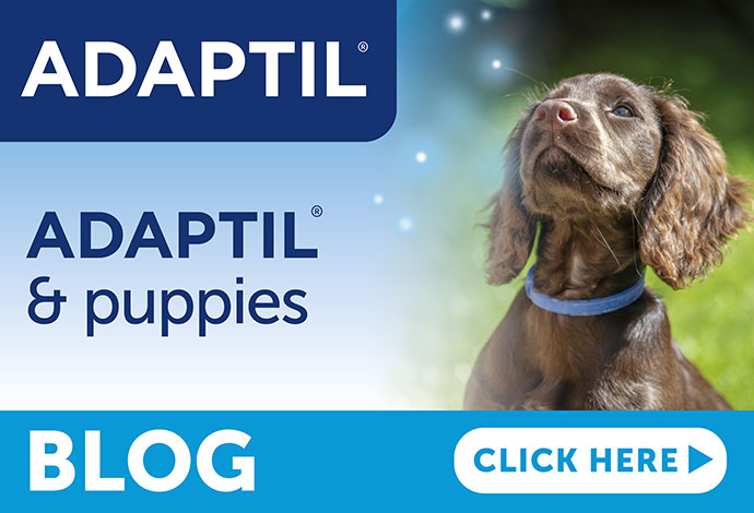 Adaptil & Puppies