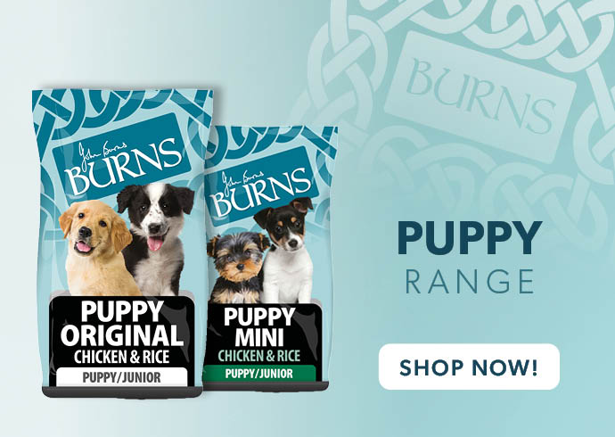 Burns brand page Puppy range SecPro