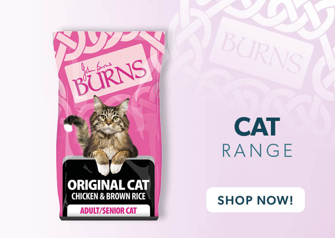 Burns brand page Cat range SecPro