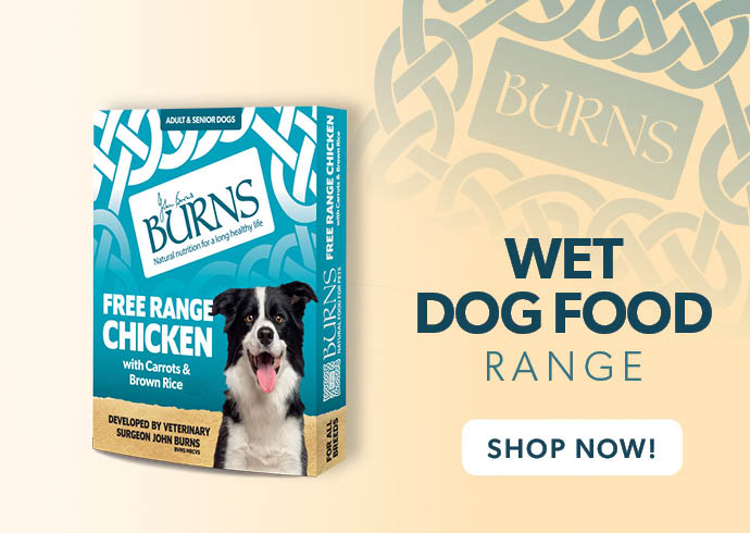 Burns brand page Wet Dog Food range SecPro