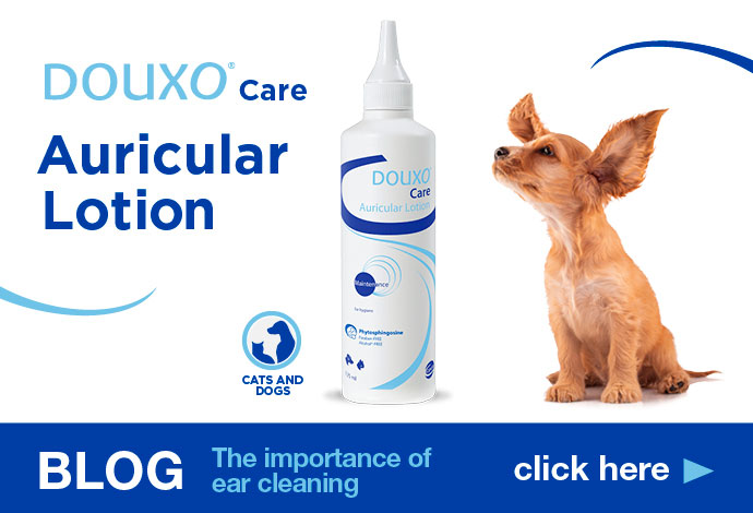 The importance of keeping your pet’s ear canal clean