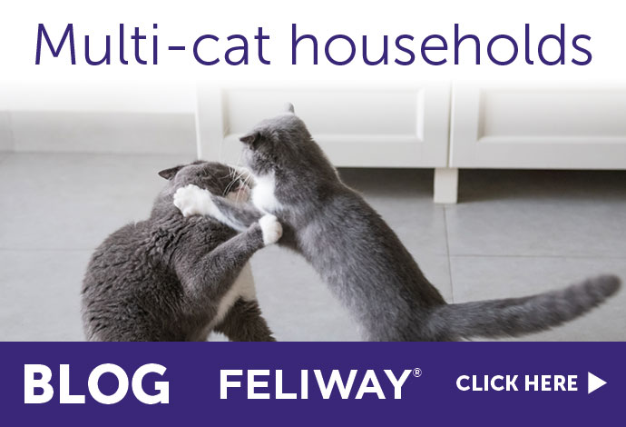 Multi-cat households