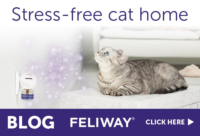 Stress-free cat home