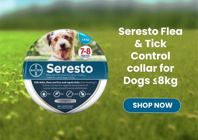 Seresto Flea and Tick Collar for Dogs under 8kg