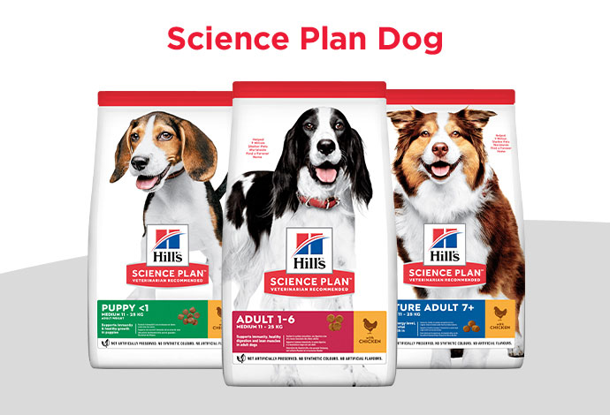 Shop Hill's Science Plan for Dogs