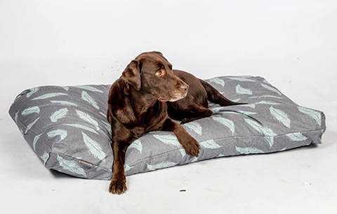 Choosing the Best Dog Bed for Arthritis