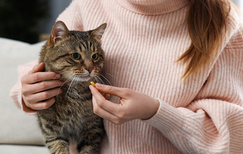 Woman giving cat a pill