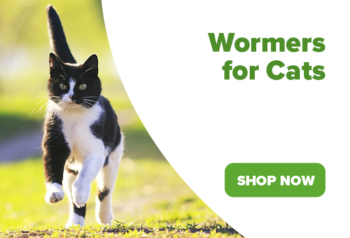Wormers for cats