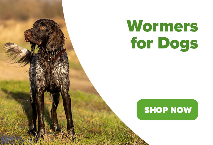 Wormers for dogs